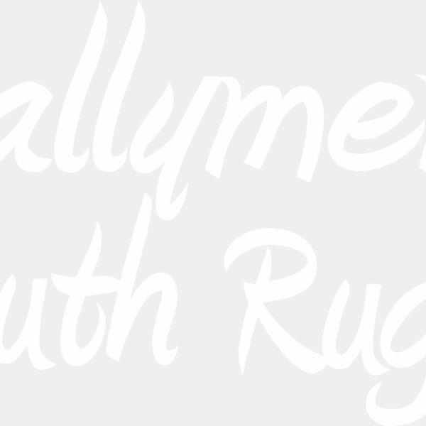 BRFC Youth Back Print Thumbnail