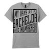Adult t-shirt Heavy Cotton Thumbnail
