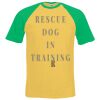 Short sleeve baseball tee Thumbnail